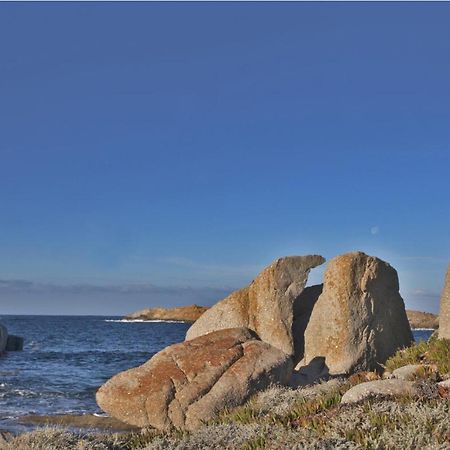 LʼÎle-RousseCasa Deliaアパートメント エクステリア 写真